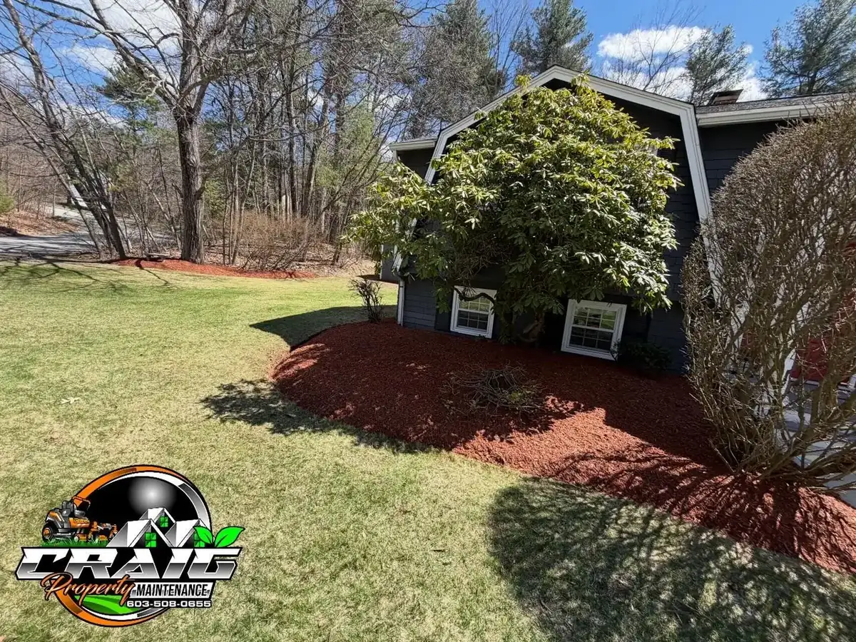 Red mulch island bed around a mature shrub on a Southern New Hampshire front yard