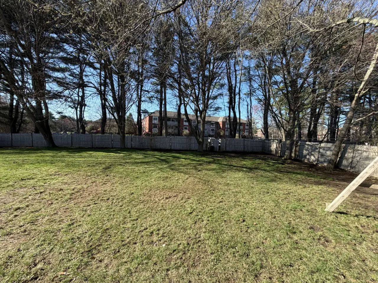 Same fenced backyard cleared to clean green turf after a full spring cleanup